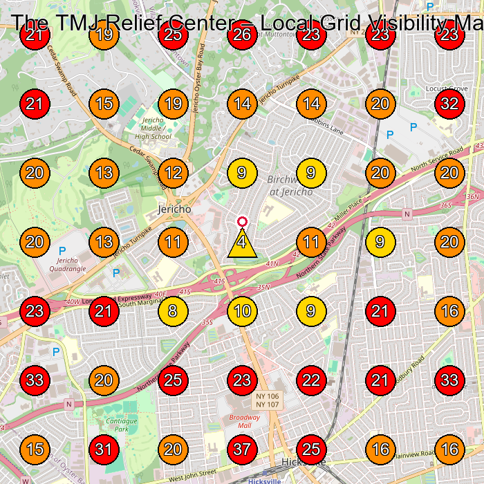 The TMJ Relief Center GeoGrid visibility map for Physical Therapy Clinic in Jericho